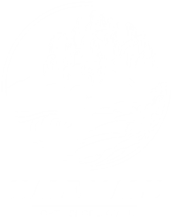 The Hale Nalu